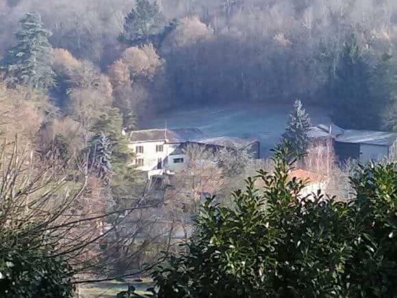 Cier De Riviere "Les Ours" Daire Dış mekan fotoğraf